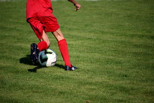 乐鱼体育App下载-法甲营养恢复系统提升球员赛季稳定性调查