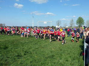 乐鱼电竞在线平台登录入口-青少年体育活动参与动机分析，青少年参加体育运动的动机