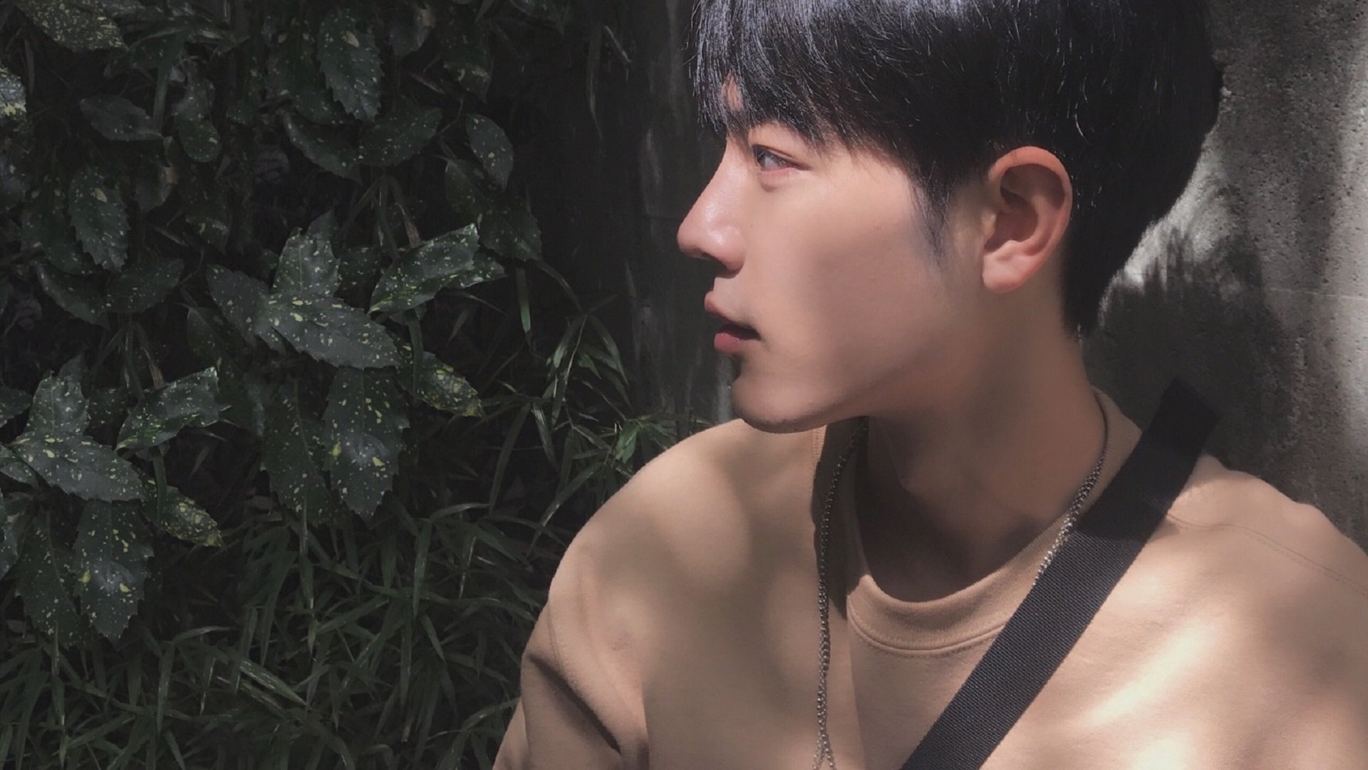 国王后卫连续得分引起主帅高度关注，国王队组织后卫