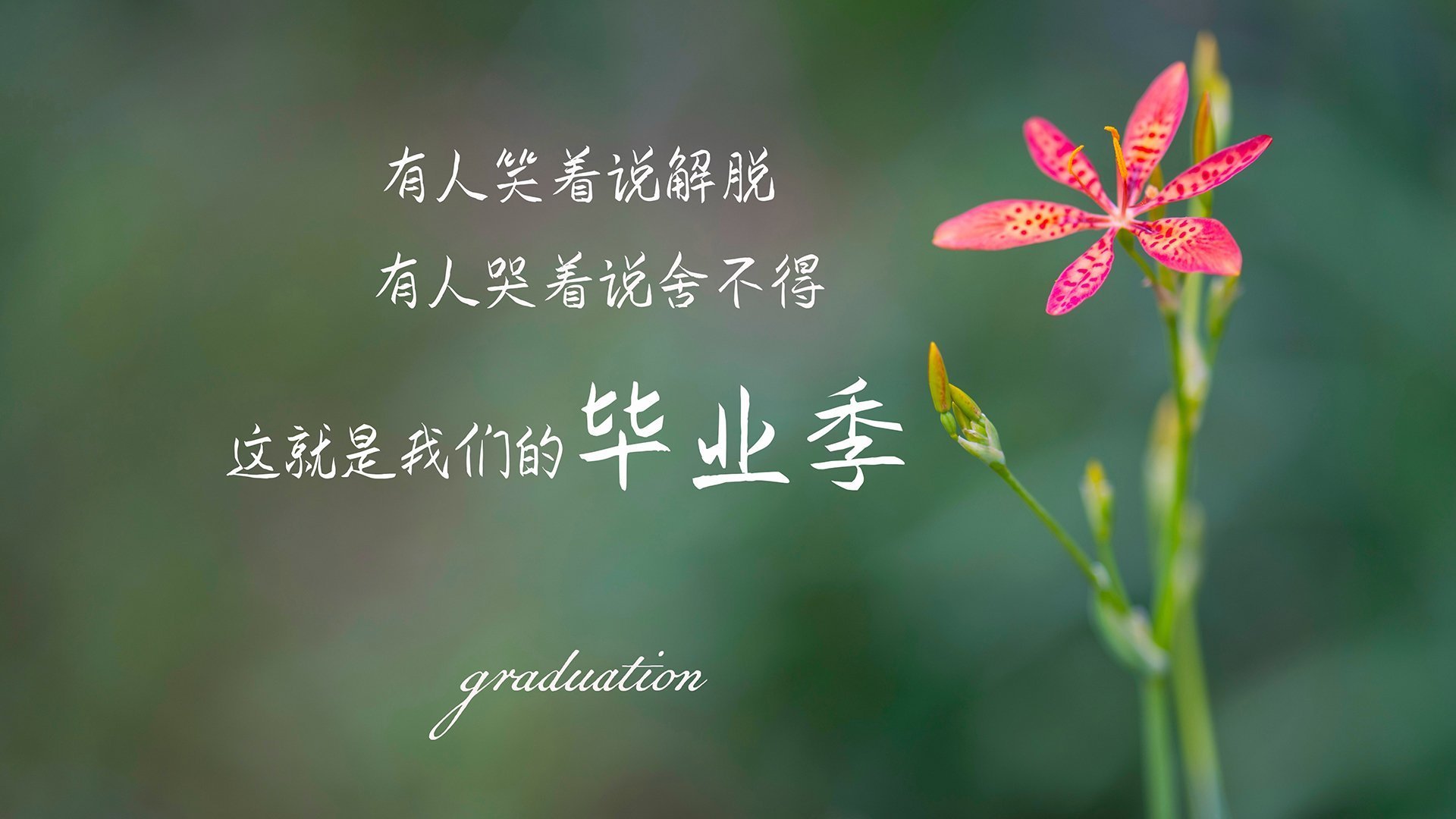 欧洲杯难忘瞬间：看点满满，泪点也多，欧洲杯太精彩了