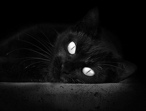 英超无限可能：疯狂比赛激动人心，zaker 英超