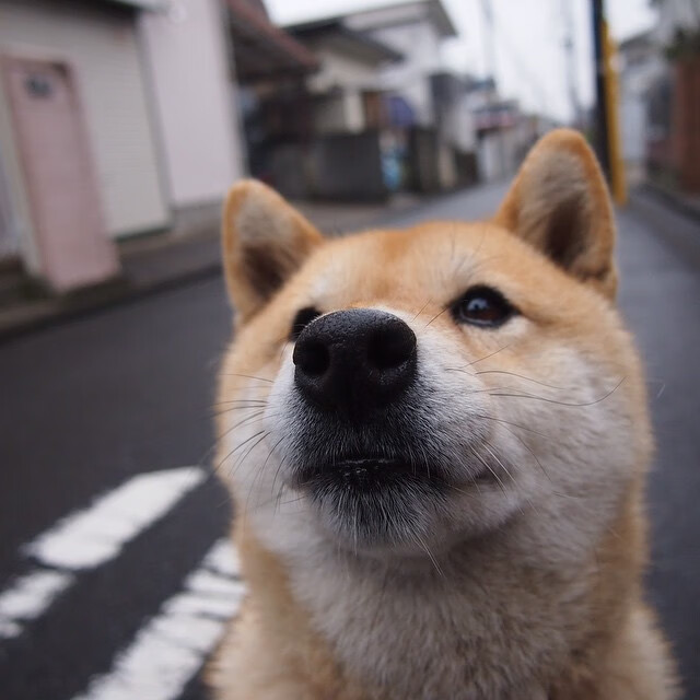 乐鱼电竞-麦肯齐：凭借快速的节奏和精准的长传，他成为全黑队反击战术的核心